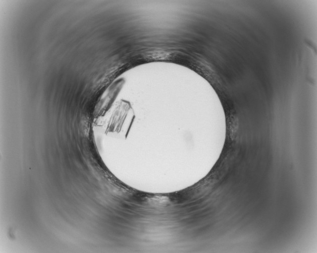 X0000099320374200805301221