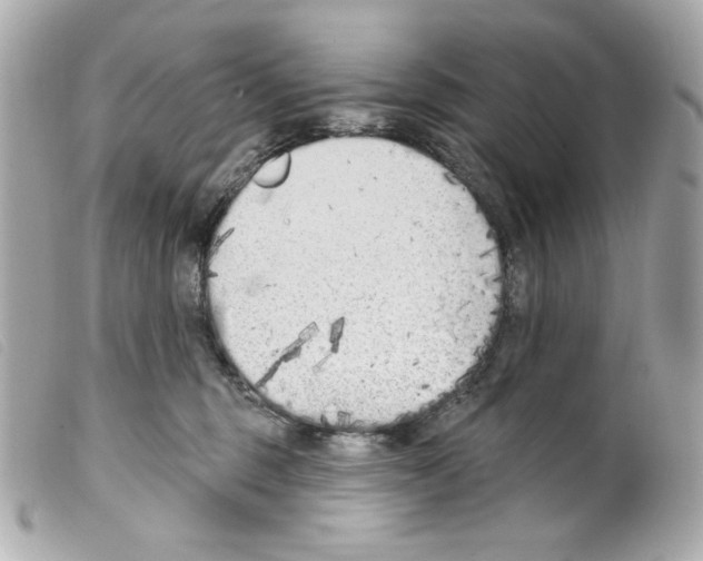 X0000099320375200805301221