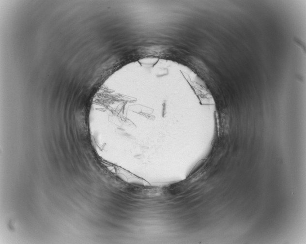 X0000099320377200805301221