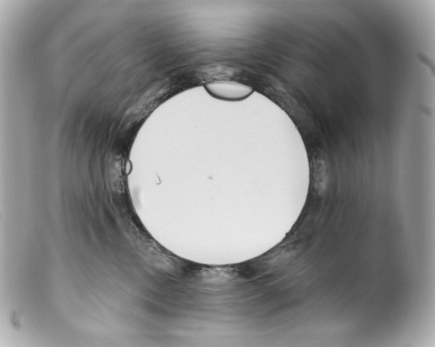 X0000099320378200805301221