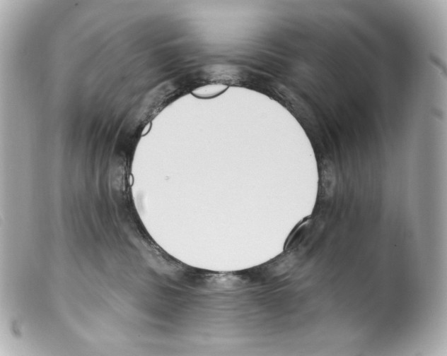 X0000099320379200805301221