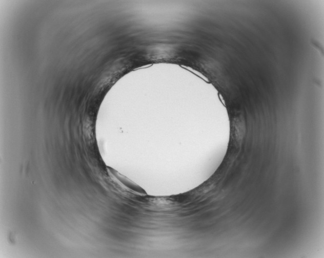 X0000099320380200805301221
