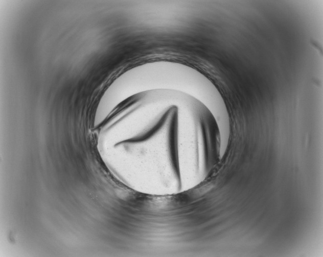 X0000099320382200805301221