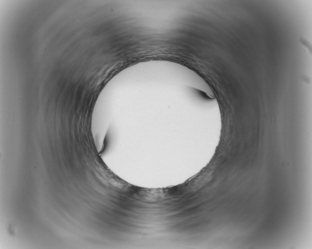 X0000099320384200805301221