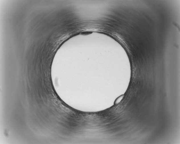 X0000099320385200805301220