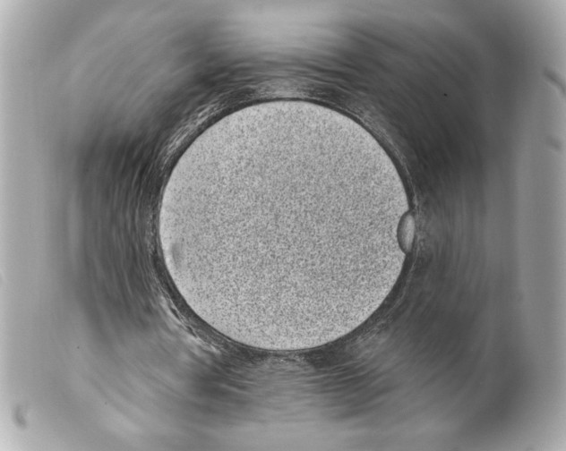 X0000099320386200805301220