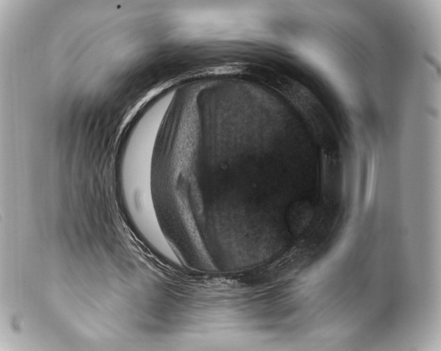 X0000099320387200805301220