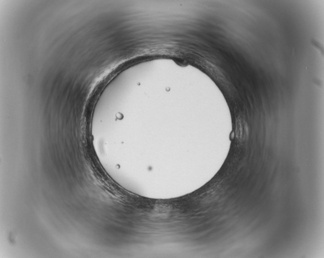 X0000099320388200805301220