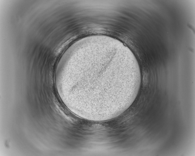 X0000099320390200805301220