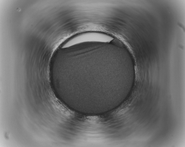 X0000099320391200805301220