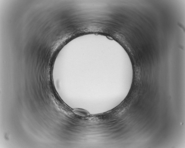 X0000099320395200805301220