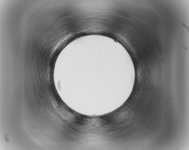 X0000099320396200805301220