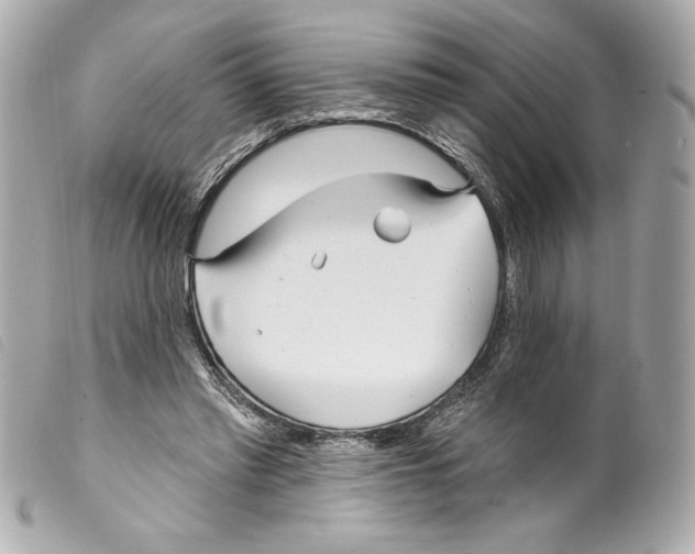 X0000099320397200805301220