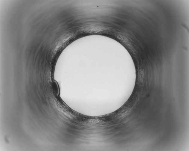 X0000099320399200805301220