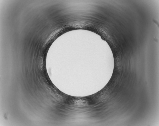 X0000099320400200805301220