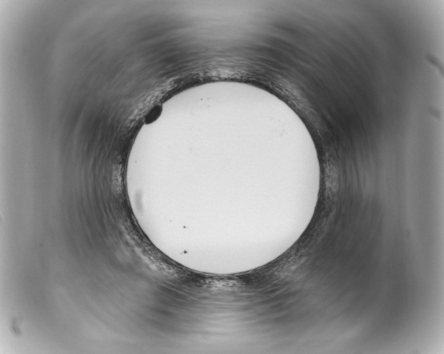 X0000099320401200805301220