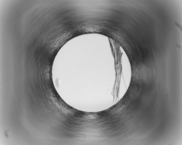 X0000099320402200805301220