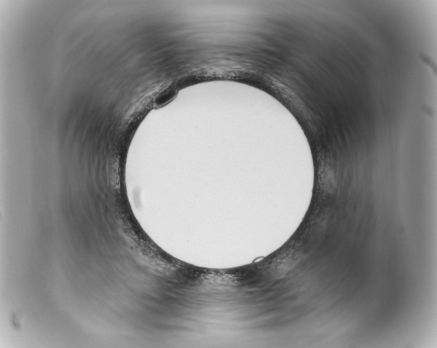 X0000099320403200805301220
