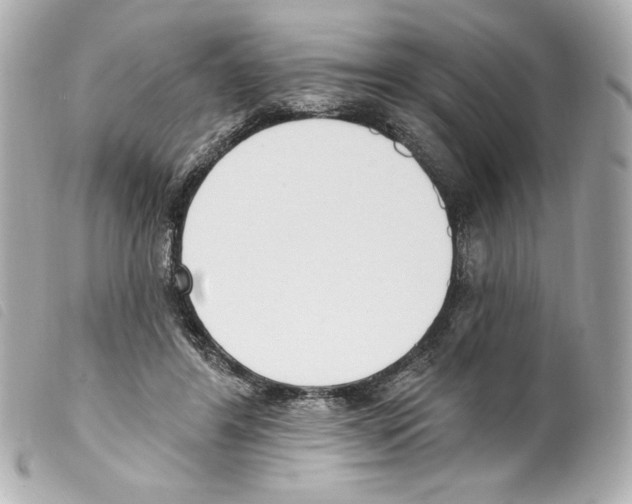 X0000099320404200805301220