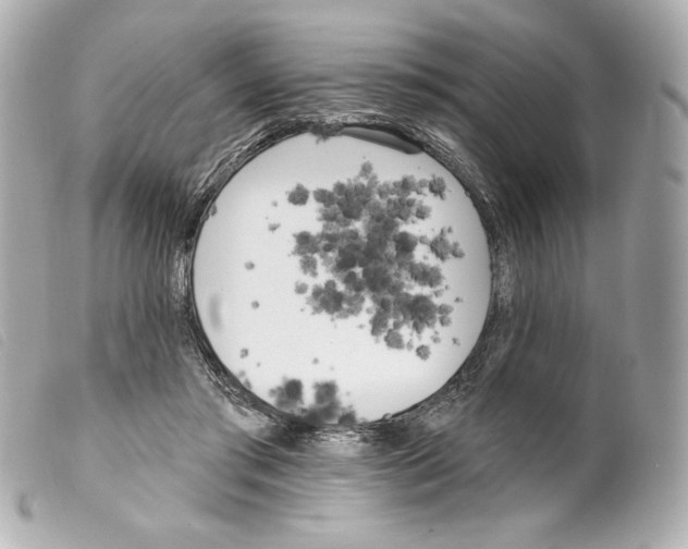 X0000099320405200805301220
