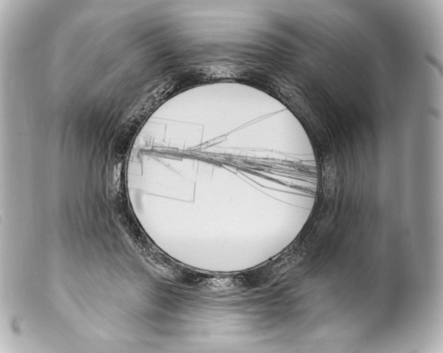 X0000099320406200805301220