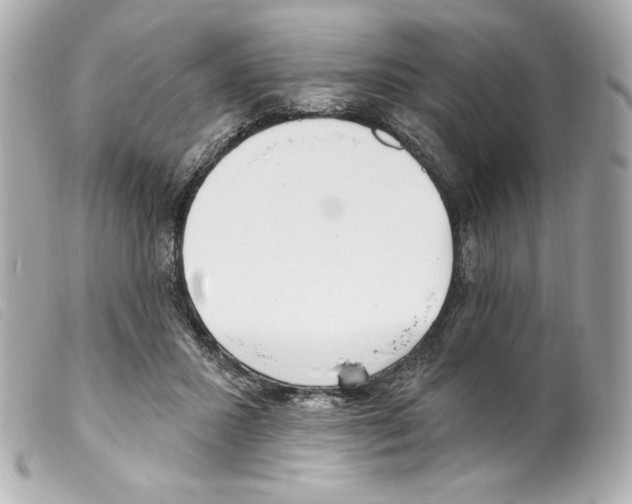 X0000099320407200805301220
