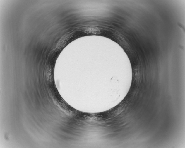 X0000099320408200805301220