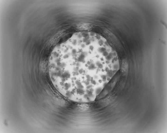 X0000099320409200805301220