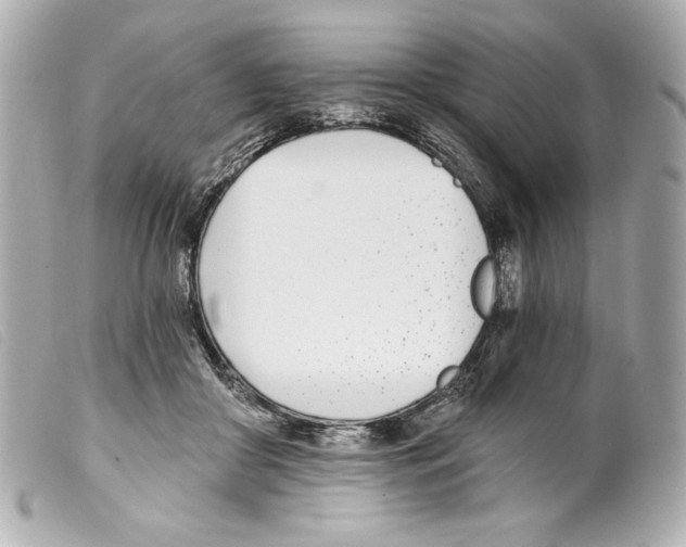 X0000099320410200805301220