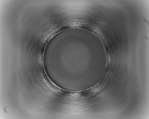 X0000099320411200805301220
