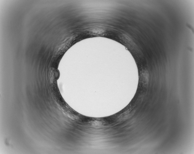 X0000099320412200805301220