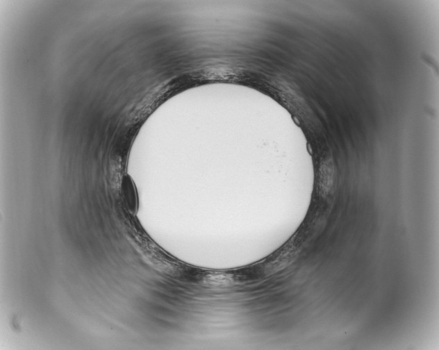 X0000099320413200805301220