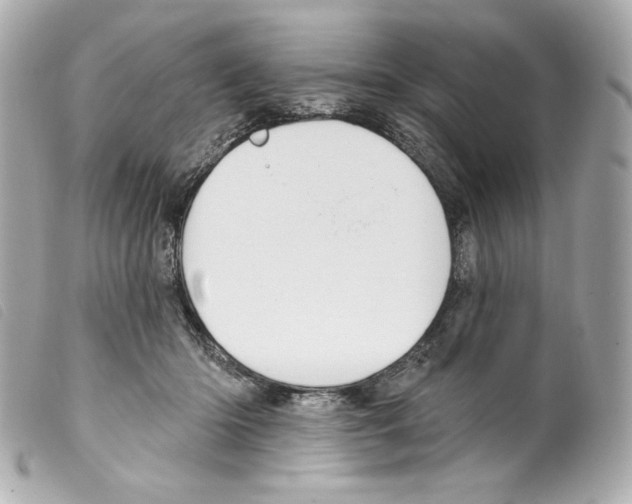 X0000099320414200805301220