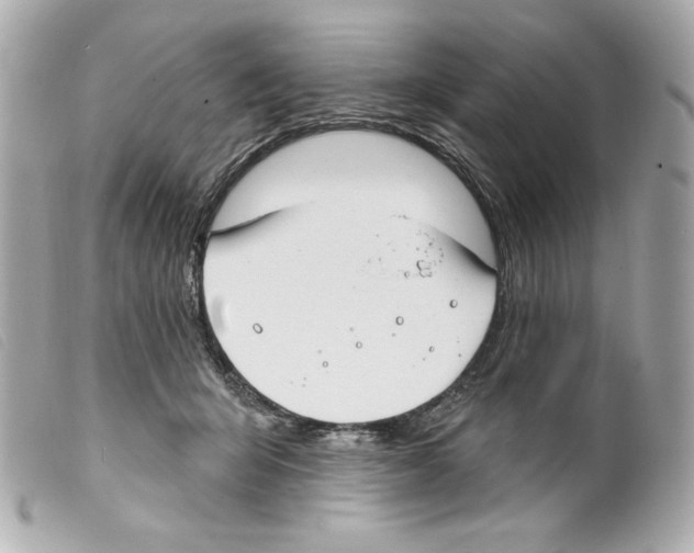 X0000099320415200805301220