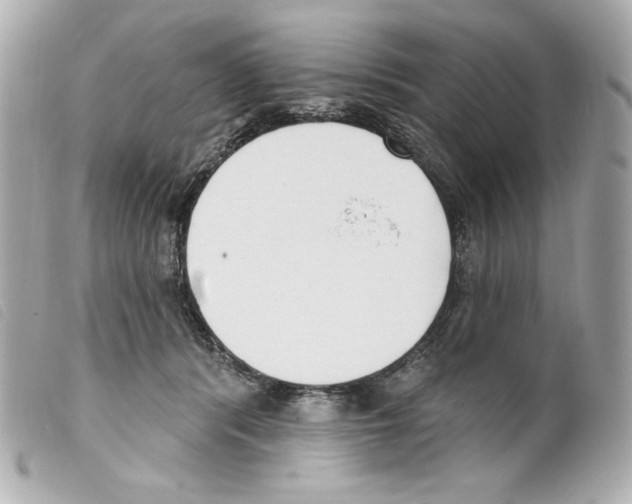 X0000099320416200805301220