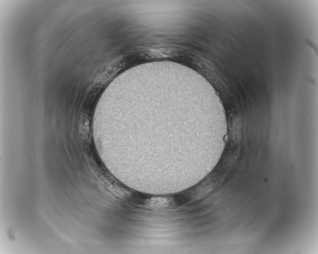 X0000099320418200805301220
