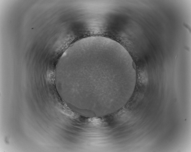 X0000099320419200805301220