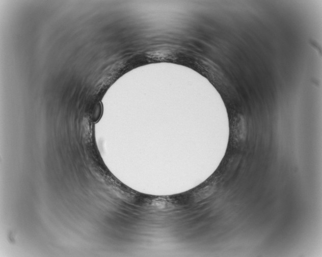 X0000099320420200805301220