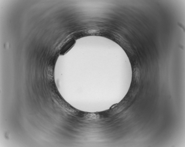 X0000099320421200805301220