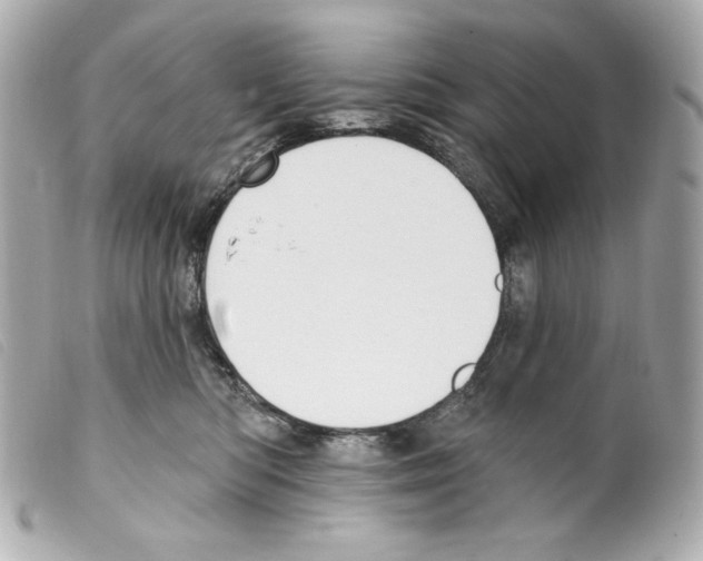 X0000099320422200805301220