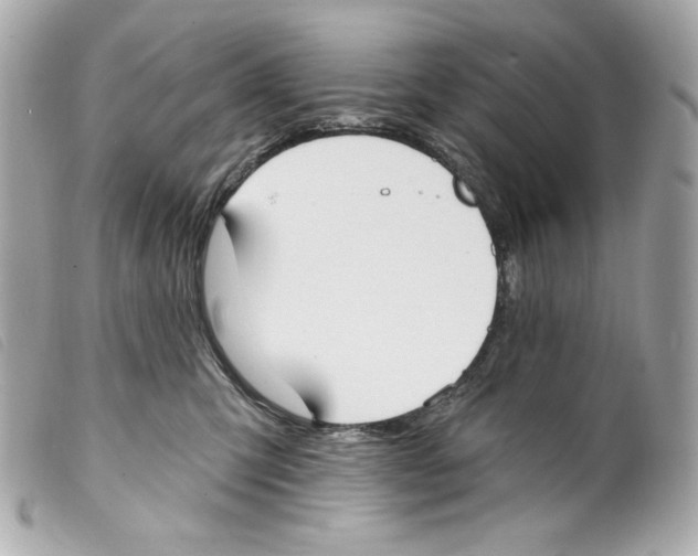 X0000099320423200805301220