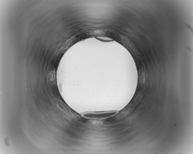 X0000099320425200805301220