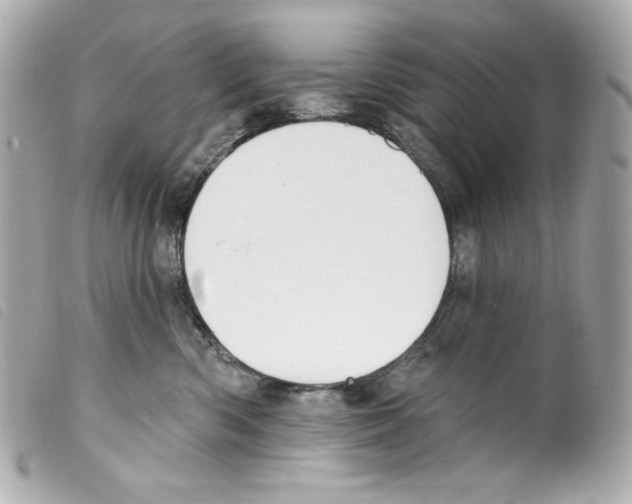 X0000099320426200805301220