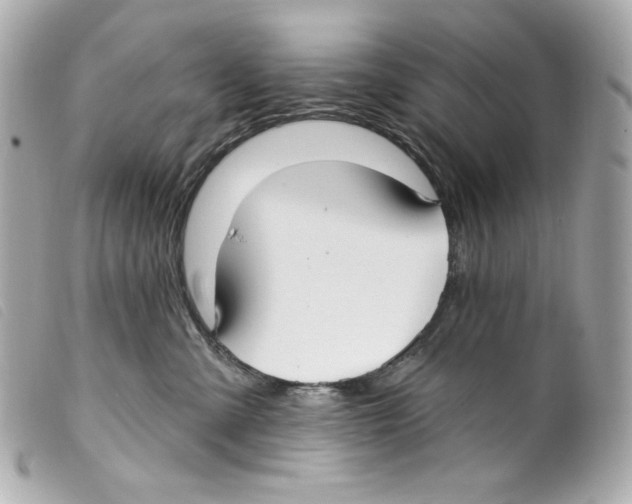 X0000099320427200805301220