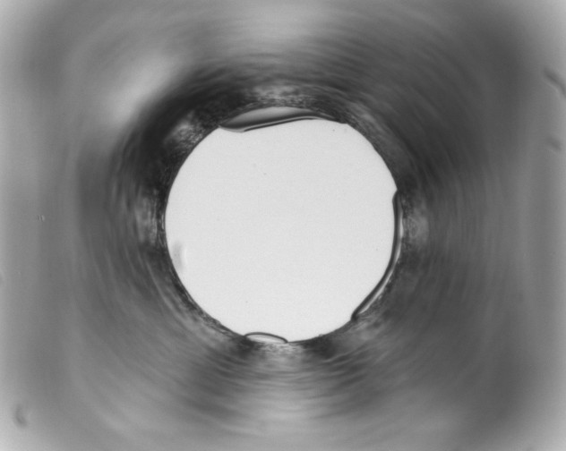 X0000099320429200805301219
