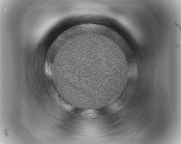 X0000099320431200805301219