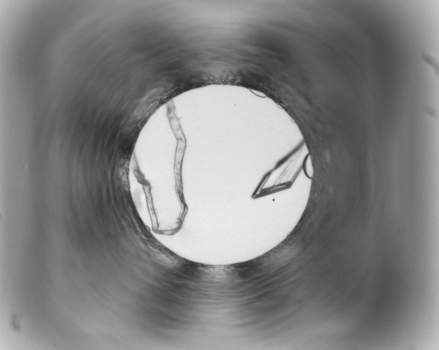 X0000099320432200805301219