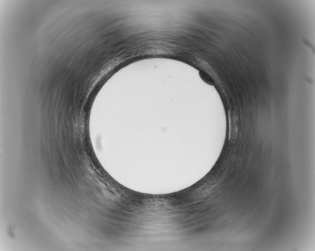 X0000099320435200805301219