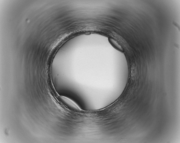 X0000099320436200805301219