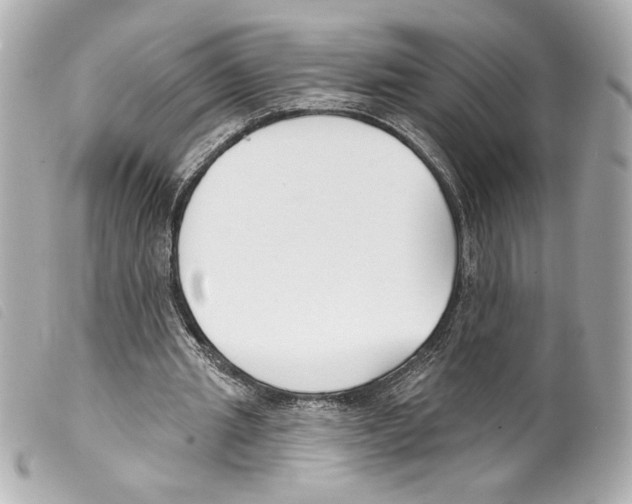 X0000099320437200805301219